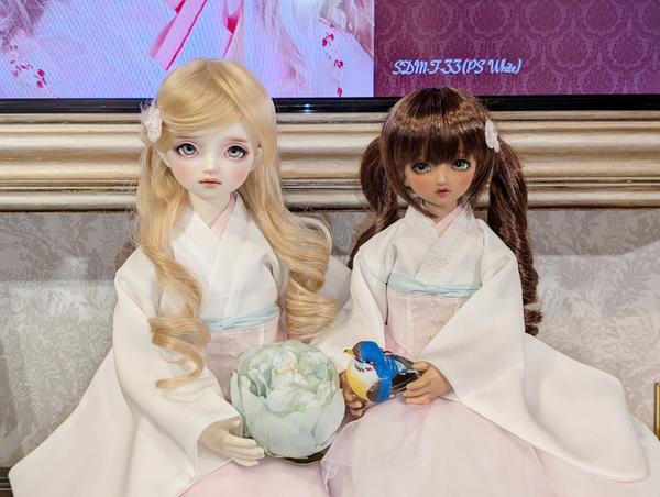 新作ドルフィー「DD 佐藤心」お迎えできます♪ | ドールポイント
